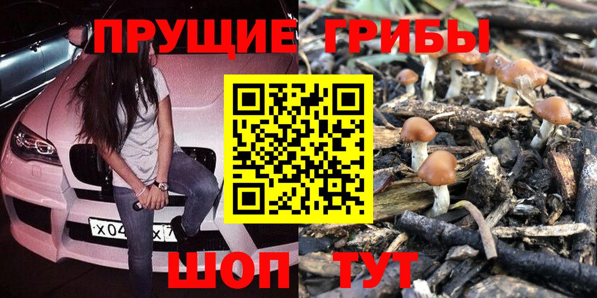 Псилоцибиновые грибы Psilocybine cubensis Похвистнево