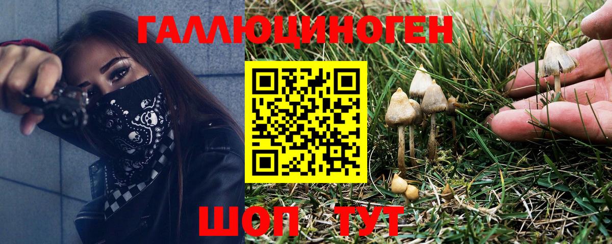 сколько стоит  Галлюциногенные грибы ЛСД  Вход с VPN  Похвистнево 